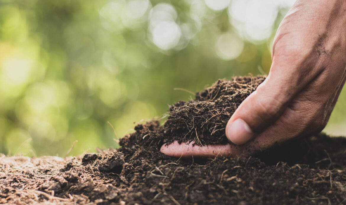 men s hands are picking up soil to plant trees